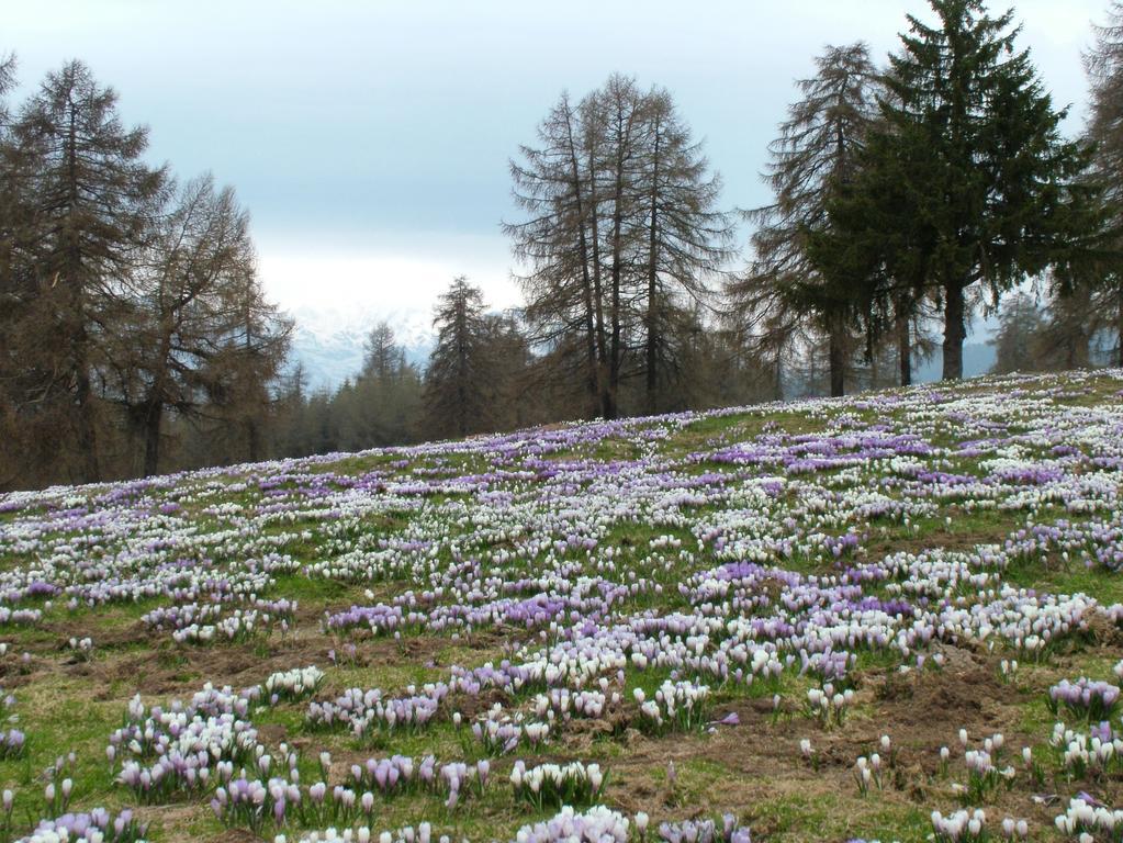 Kastnerhof Villa Meltina Exterior photo